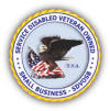 application systems and services to local, state, federal, military